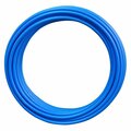 Conbraco PIPE PLYTL BLU 3/4 in.X100' EPPB10034S